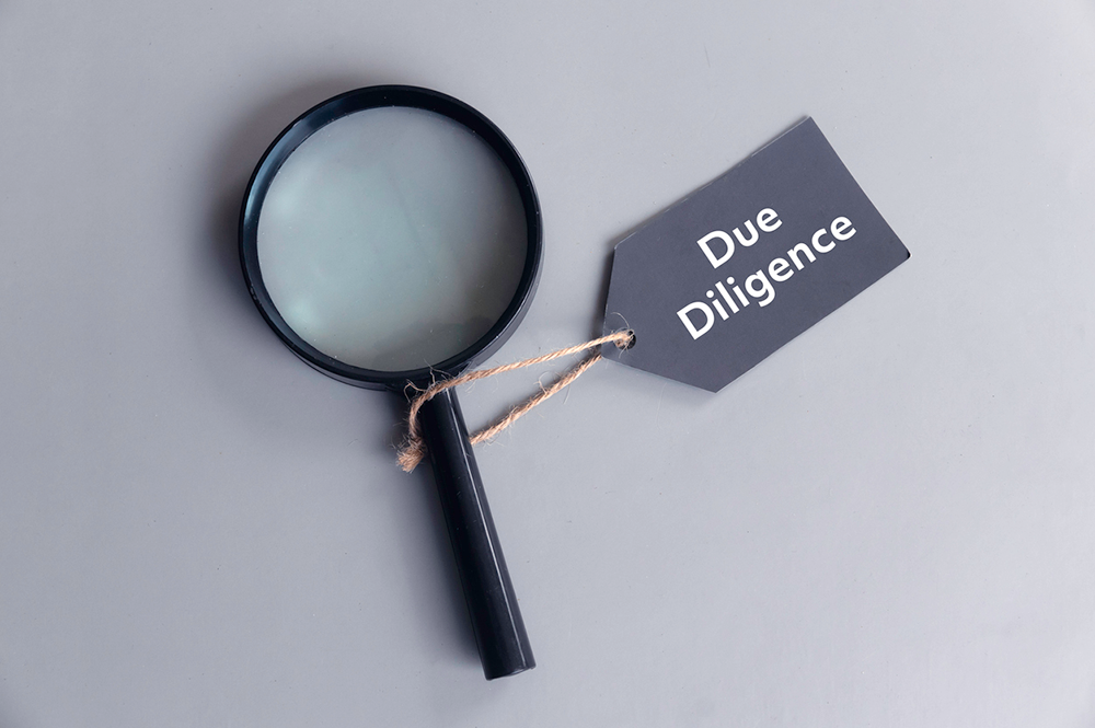 Due-Diligence-Audits